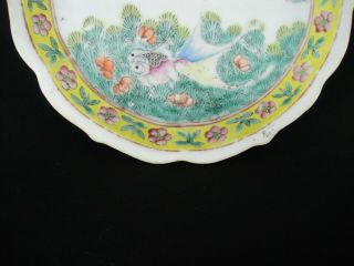 Rare Fine Chinese Porcelain Fencai Dish - Fish,  Dragon - 19th C.  Tongzhi Mark 3
