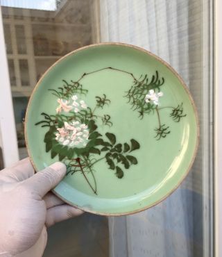 Antique Chinese 19thc Green Celadon Small Porcelain Plate Flowers Motif
