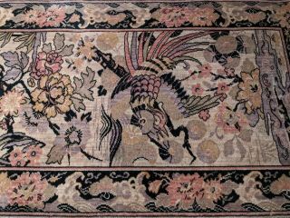 Antique Birds Of Paradise Art Deco Wilton Whittall Anglo - Persian Wool Rug