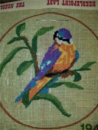 Vintage 6x6 Pre - Worked Petit Point Needlepoint Canvas Colorful Bird Branch