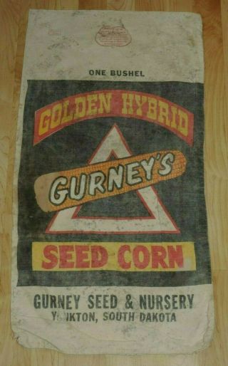 Vintage Golden Hybrid Gurney 