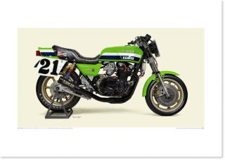[illustration] 1982 Kawasaki Kz1000s1 Eddie Lawson Ama Superbike Kerker Z1000r