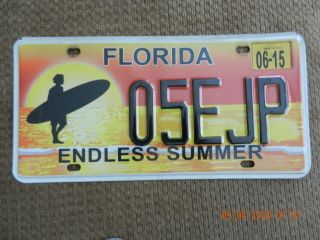 Florida Endless Summer License Plate From 2015 05ejp