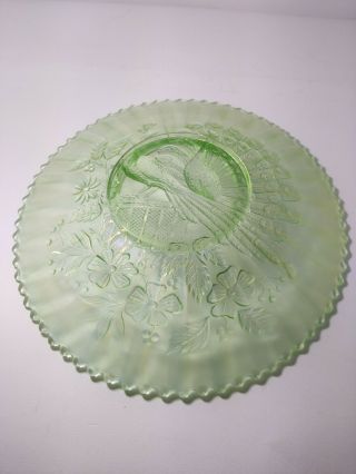 Northwood Peacocks Antique Carnival Art Glass Plate Ice/lime Green Spectacular