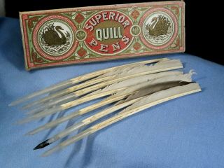 Superior Cut Quill Pens Antique Victorian Feather Dip Pen Boxed Set Maud Tranter