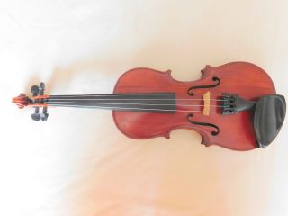 Old Violin,  Italy,  Violon,  Geige,  小提琴 ヴァイオリン.