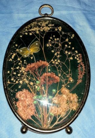Vintage Oval Framed Dried Flower Arrangement With Metal Butterfly 7 1/4 " X 5.