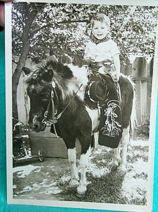 Vtg.  5 " X 7 " Photo Of Young Boy N Pony W Western Outfit Chaps Cowboy Hat Holster