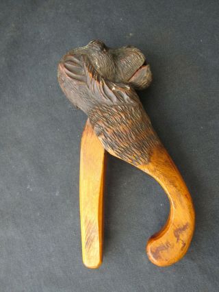 Rare Antique Black Forest Monkey Wooden Nutcracker Late 19thc