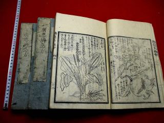 4 - 75 Kokei Japanese Medicine Medical Herb Woodblock Print 3 Book