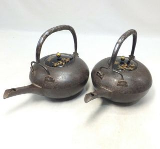 C441 High Class Japanese Old Iron Choshi (sake Kettles) With Makie,  Silver Inlay