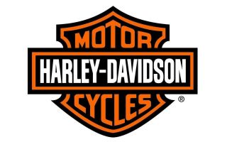 3 Pack Harley - Davidson Large Trailer / Wall Decal Sticker 48x40 Matte Finish