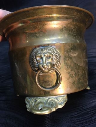 Antique Footed Brass Bucket Planter With Lion Head Handles Vintage