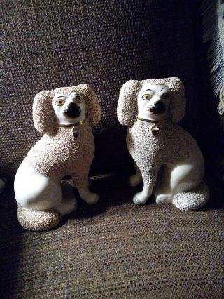 Antique Staffordshire Confetti Poodle Dogs Figurines 8 1/2 "