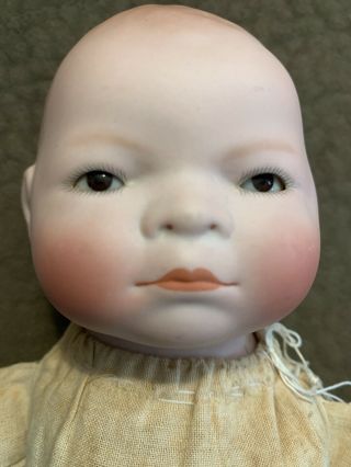 Baby Doll Marked Grace S.  Putnam Made In Germany 3.  5 " Head Cloth Body 13 " Total
