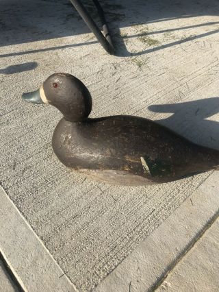 Evans Hen Bluebill Duck Decoy Solid Body Stamped On Bottom
