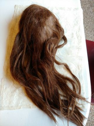 Vintage Large Doll Human Hair Wig Dk Brwn/auburn.  19 " Long