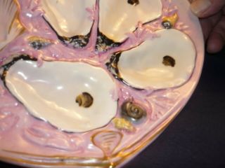 ANTIQUE 1881 UNION PORCELAIN (UPW) 4 WELL OYSTER PLATE.  SM CLAM BRIGHT PINK 3