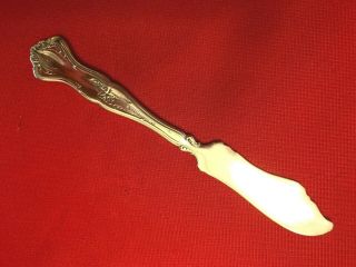 VINTAGE by 1847 Rogers Bros.  Silverplate Grape BUTTER SPREADER 1904 2