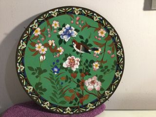 Antique Japanese Meiji Cloisonne Wall Plate Charger Birds And Flowers 12in