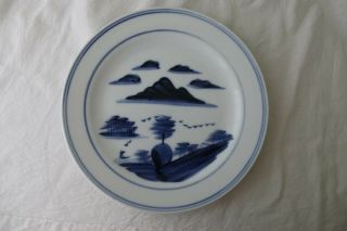 Vintage Chinese Blue And White Hand Painted Porcelain Plate 26cm