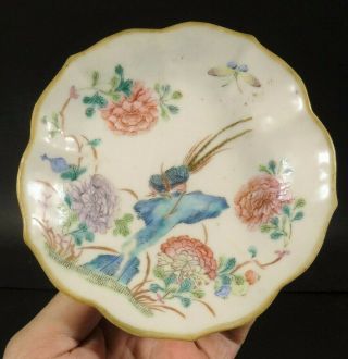China Chinese Qing Dynasty Famille Rose Porcelain Dish