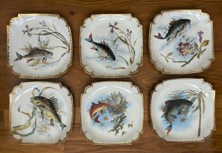 Set Of 6 Antique Franz Mehlem Royal Bonn Germany Square Fish Plates - 8.  5 "
