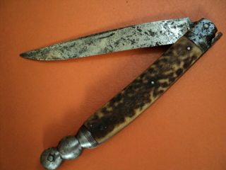 Antique Rare French Chatellerault Solognot Type Folding Knife Xixc Stag Hunting