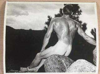 Posing Strap Era,  Western Photography Guild,  Male Nude,  Don Whitman