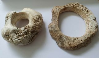 Solomon Islands - Two Ancient Shell Rings - Currency.
