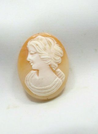 Vintage Art Deco Carved Shell Cameo Loose High Relief Carved Unmounted 24.  8mm
