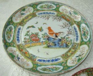 3 - - 19th C.  Chinese Export Famille Verte Porcelain Rose Medallion Plate 2