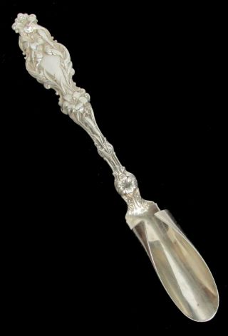 Whiting 1902 Lily Sterling Silver 8 1/4 " Cheese Scoop