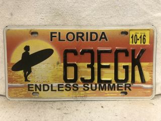 2016 Florida Endless Summer License Plate