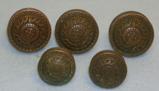 5 Antique Matching Aesthetic Movement Victorian Brass Door Knobs 3 Lg 2 Small