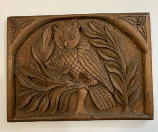 Antique 19th Century American Folk Art Owl Bird In Tree Wood Carving