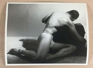Vintage Posing Strap Era Male Nude,  Physique Photography,  Wpg,  Don Whitman 4x5