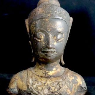 Antique Gilt Bronze Crowned Bust Of Ayutthaya Buddha On Wooden Base 17th - 18th C