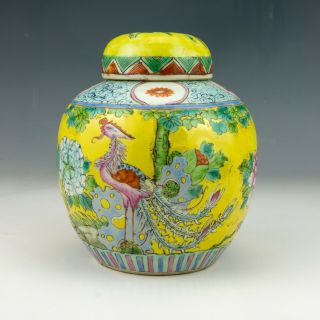 Antique Chinese Porcelain - Hand Painted Oriental Bird Decorated Ginger Jar