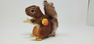 Vintage Steiff Perri Squirrel Stuffed Animal W/ Tags Intact Disney 2