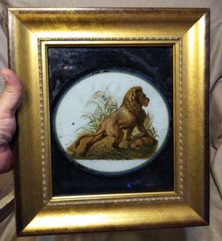Antique Old 19th Century Reverse Painting On Glass Oil Lion Portrait English Art