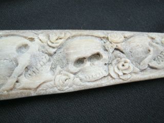 HUGE 3 Foot Hand Carved Scrimshaw Swordfish Bill Rostrum Memento Mori 2