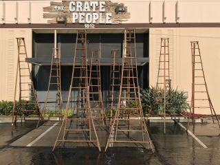 Vintage Orchard Ladders - - Over 20 Available - - Barn Find