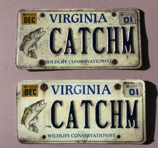 Virginia Vanity License Plate Bass Wildlife Conservationist Pair Catchm