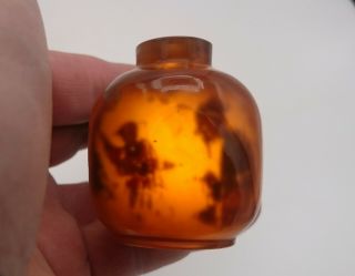 Rare Chinese Reverse Painted Fish Elder Amber Glass Snuff Bottle Jade Lid Spoon