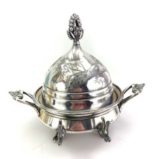 Rare Meriden Co Silverplate Silver Plate Domed Butter Dish With Peacocks