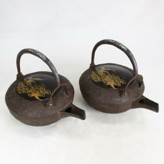 B868 High Class Japanese Old Iron Choshi (sake Kettles) With Makie,  Silver Inlay