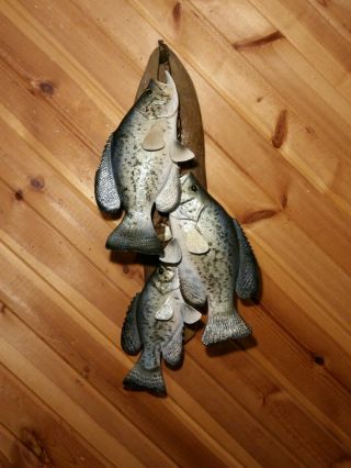 Crappie Wood Carving Fish Stringer Taxidermy Vintage Fish Decoy Casey Edwards