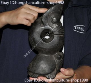 China Hongshan Culture Meteorite Iron Pig Dragon Fetal Turtle Tortoise Statue