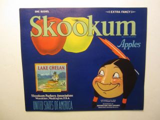 Of 25 Old Vintage - Skookum - Apple Crate Labels - Indian - Blue